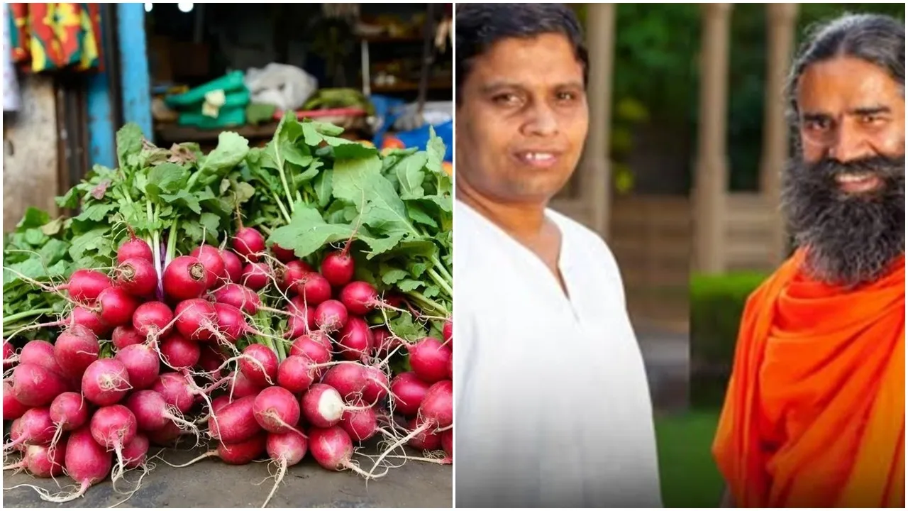 Radish Digestion Tips: মূলা খাওয়ার সঠিক পদ্ধতি জানা জরুরি।