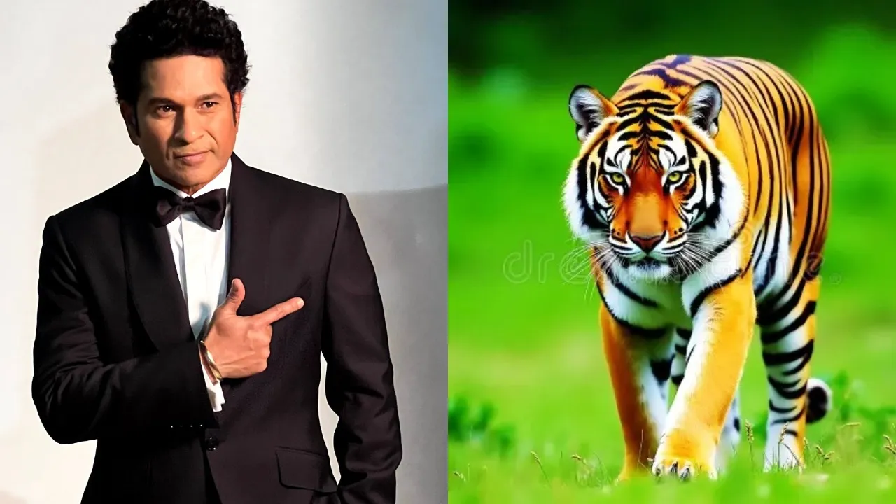 Sachin Tendulkar at Tadoba Forest