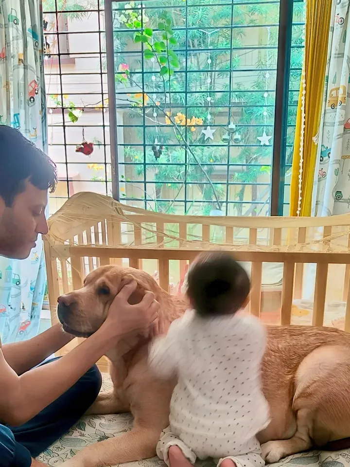 SaveClip.App_588710999_18397173619124058_4983221755040786511_n