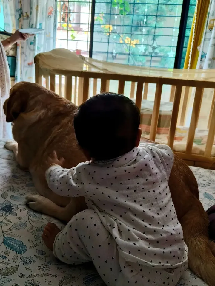 SaveClip.App_591157599_18397173610124058_2000970182596619444_n