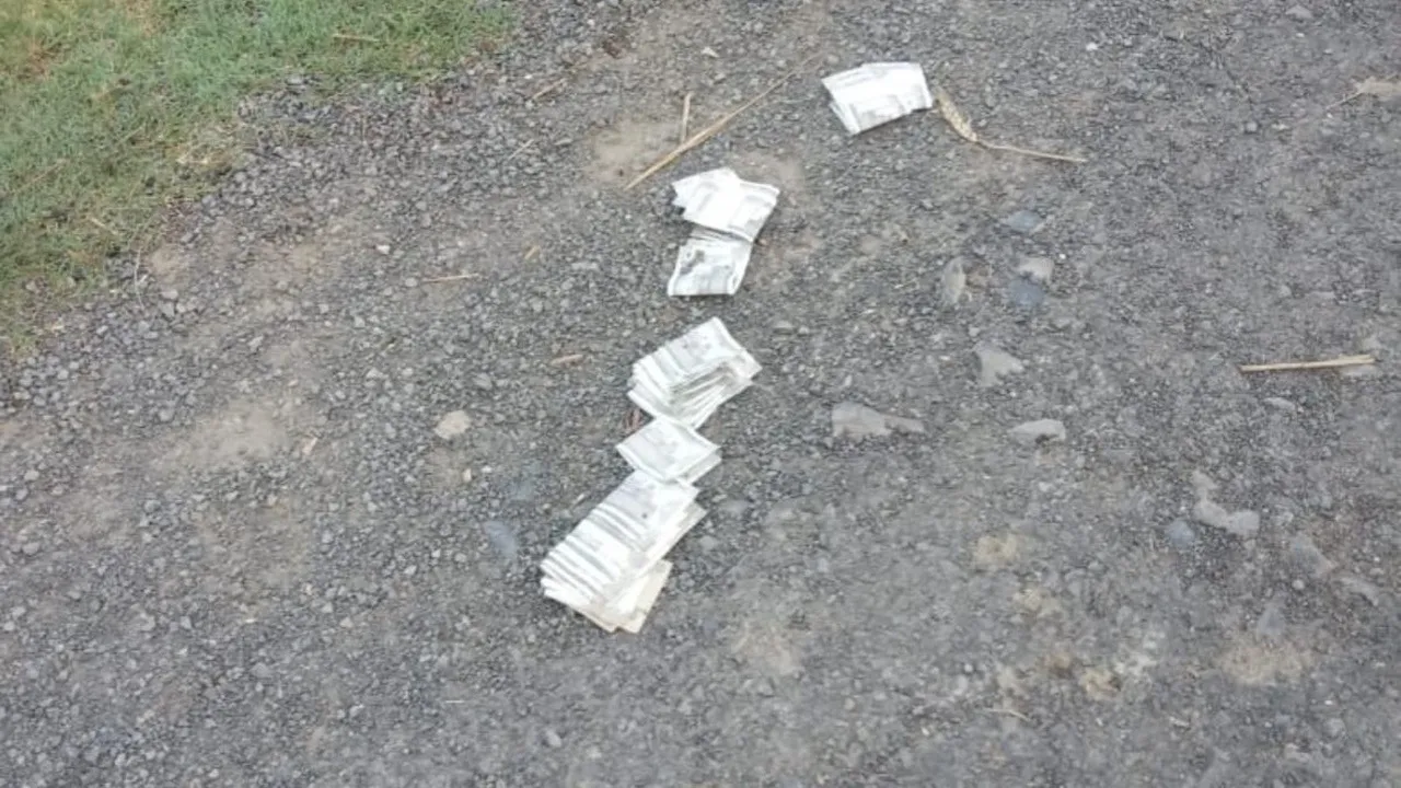 Lucky Money Sign: রাস্তায় পড়ে থাকা টাকার সঙ্গে কি ভাগ্যের যোগাযোগ রয়েছে?