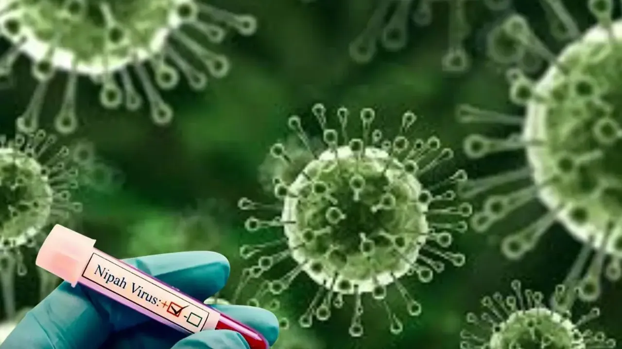 Nipah Virus Tripura  ,Tripura Health Department Alert,  নিপা ভাইরাস ত্রিপুরা  ,West Bengal Nipah cases,  Nipah Virus Symptoms,Nipah Virus prevention tips, নিপা ভাইরাস প্রতিরোধ,Agartala Medical College Nipah update  ,Isolation beds for Nipah in Tripura,  Saju Vaheed NHM Tripura,  Raw Date Juice Warning, কাঁচা খেজুরের রস সতর্কতা