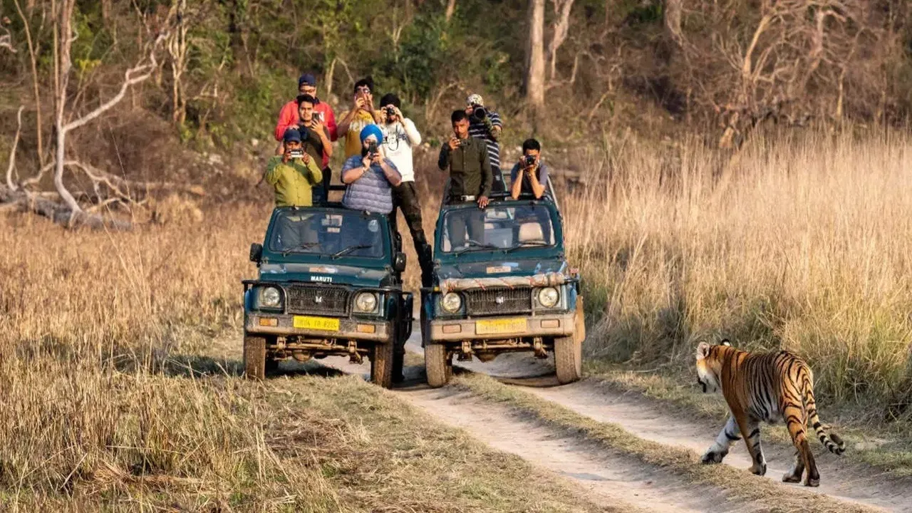 Jim Corbett National Park Facts: জিম করবেট ন্যাশনাল পার্ক সম্পর্কে এই বিষয়গুলো জেনে নিন।