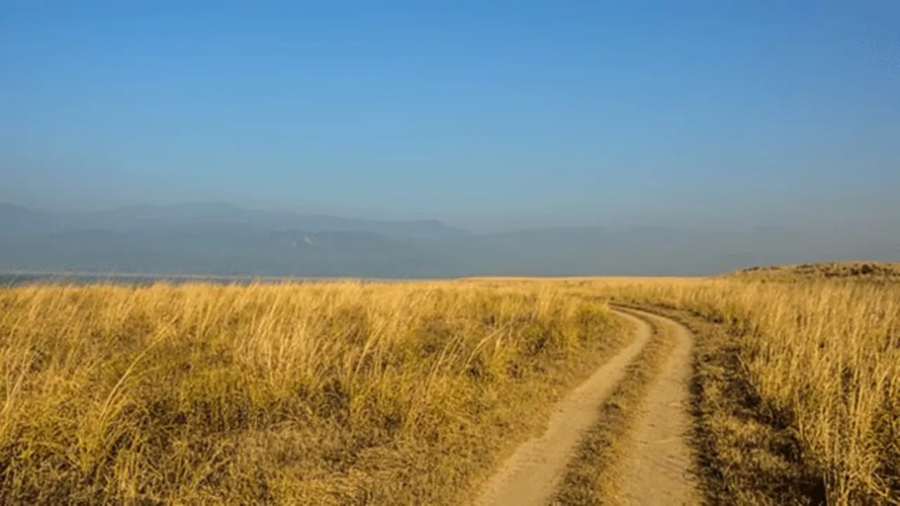 Jim Corbett National Park Facts jpg 6