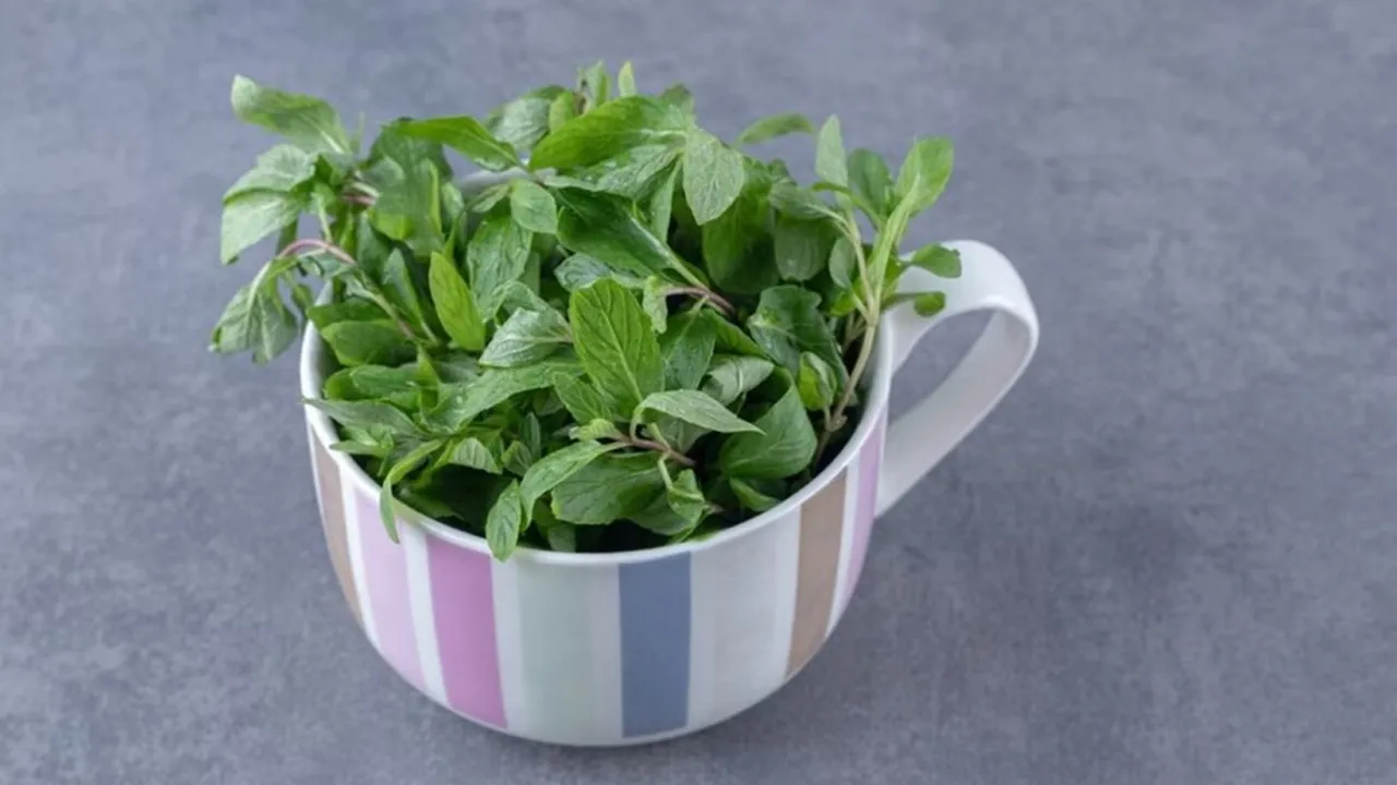 Acne Removal Home Remedy 3