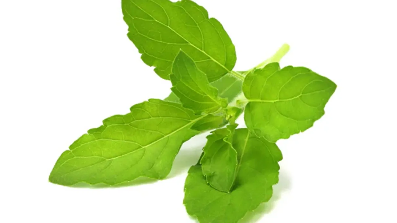 Acne Removal Home Remedy 6