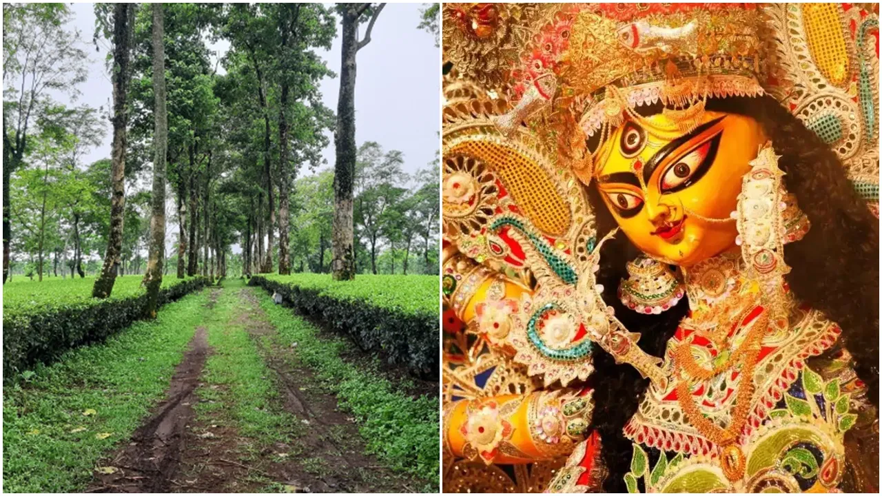 Durga Puja 2024, Totapara