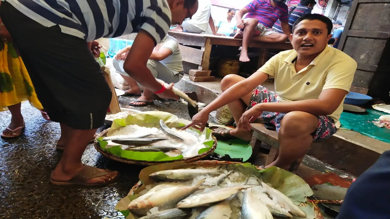 no demand for hilsa from Bangladesh in Malda,Bangladeshi Ilish,Hilsa,বাংলাদেশের ইলিশ, মালদহ