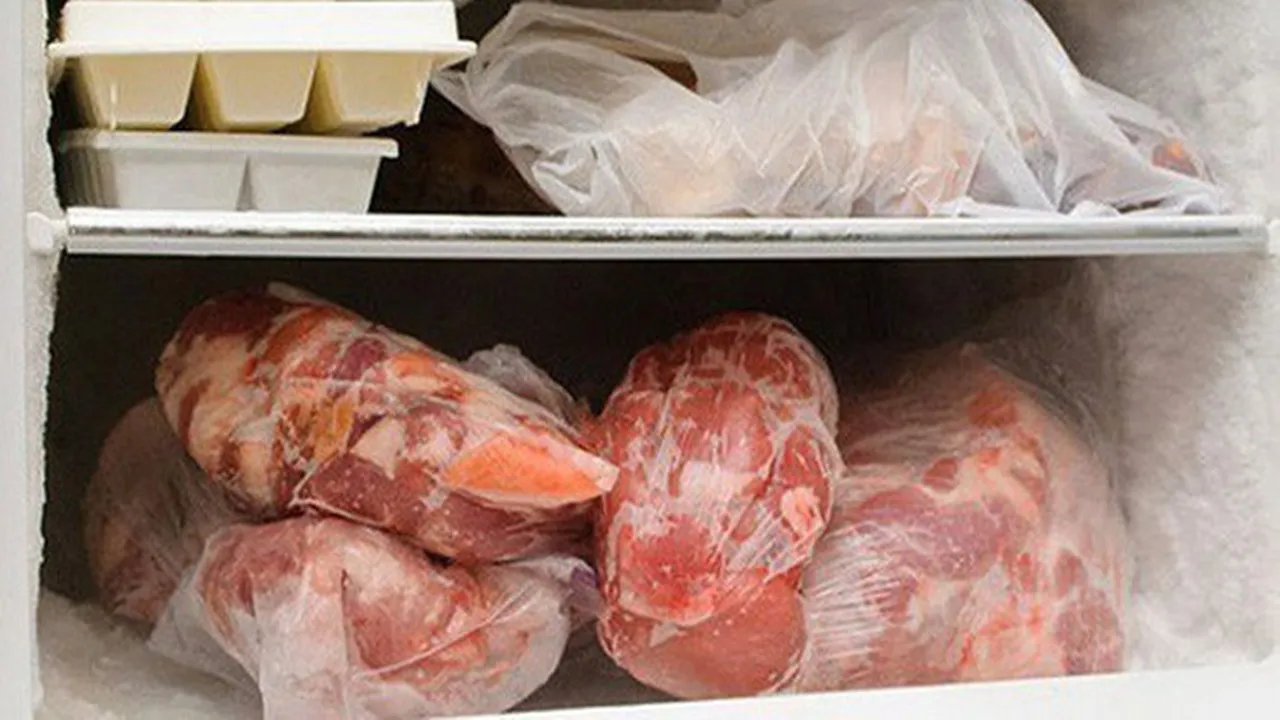 Causes of UTI, Fridge, Lifestyle
