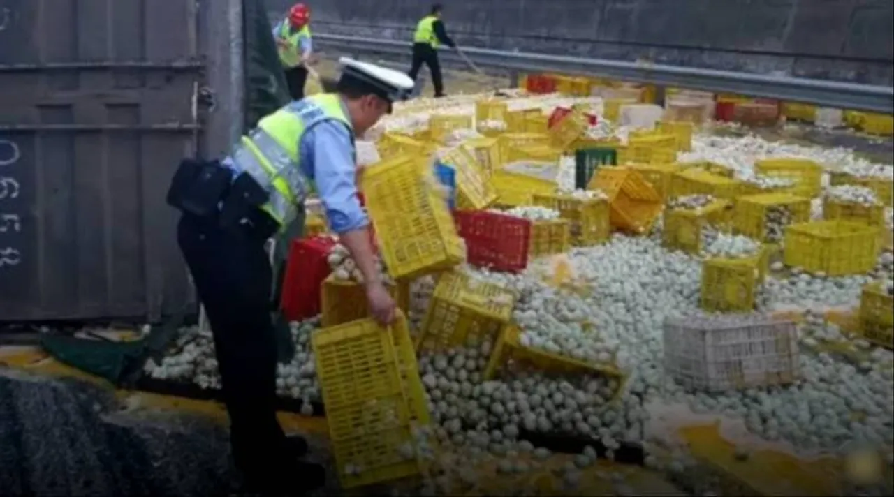 egg-spill_759_cgtn