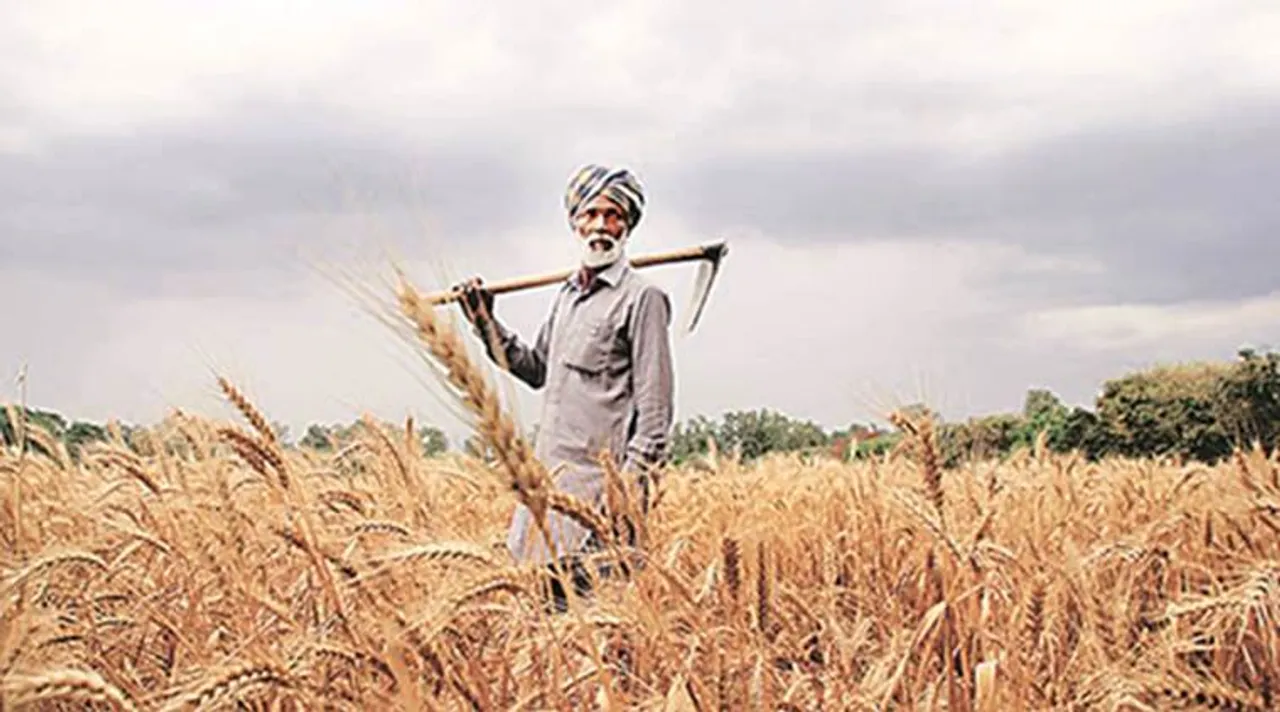 maharashtra, farmer suicide