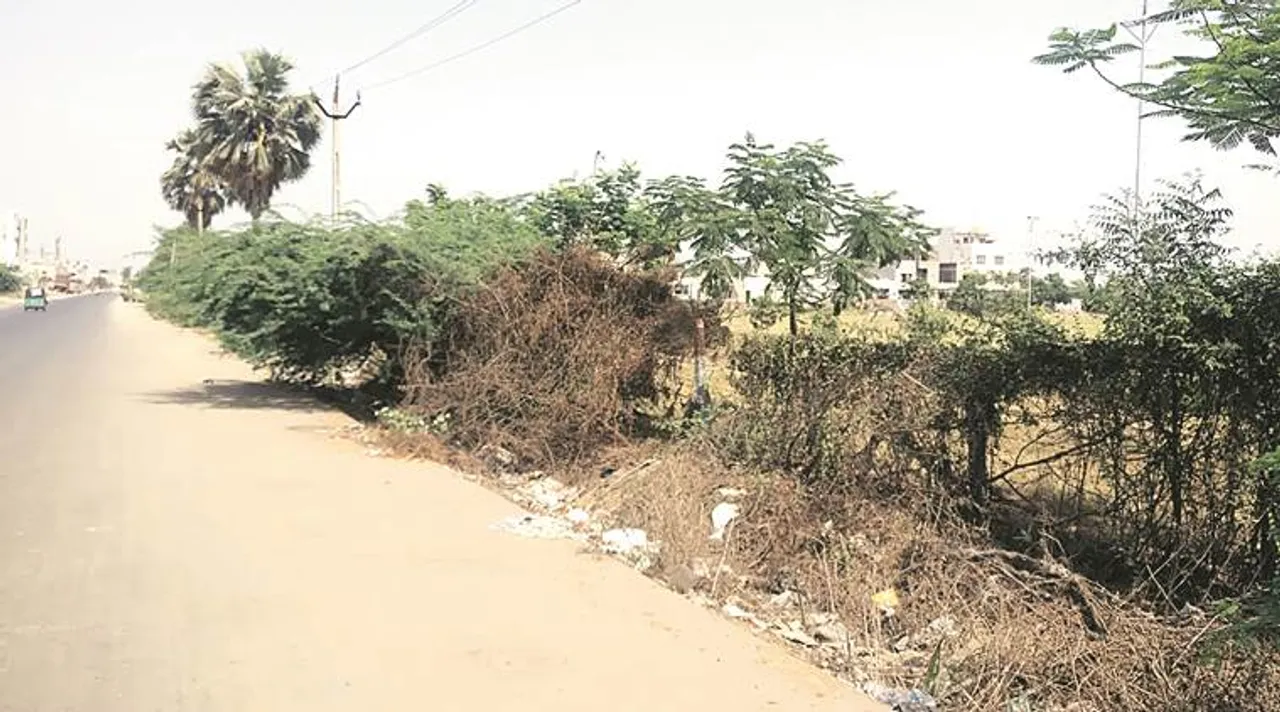 surat, rape
