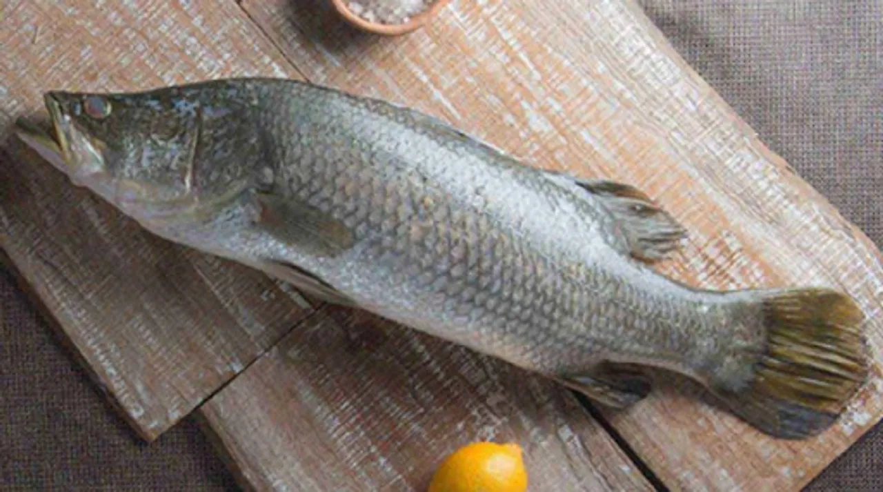 first bekti hatchery in bengal is on way