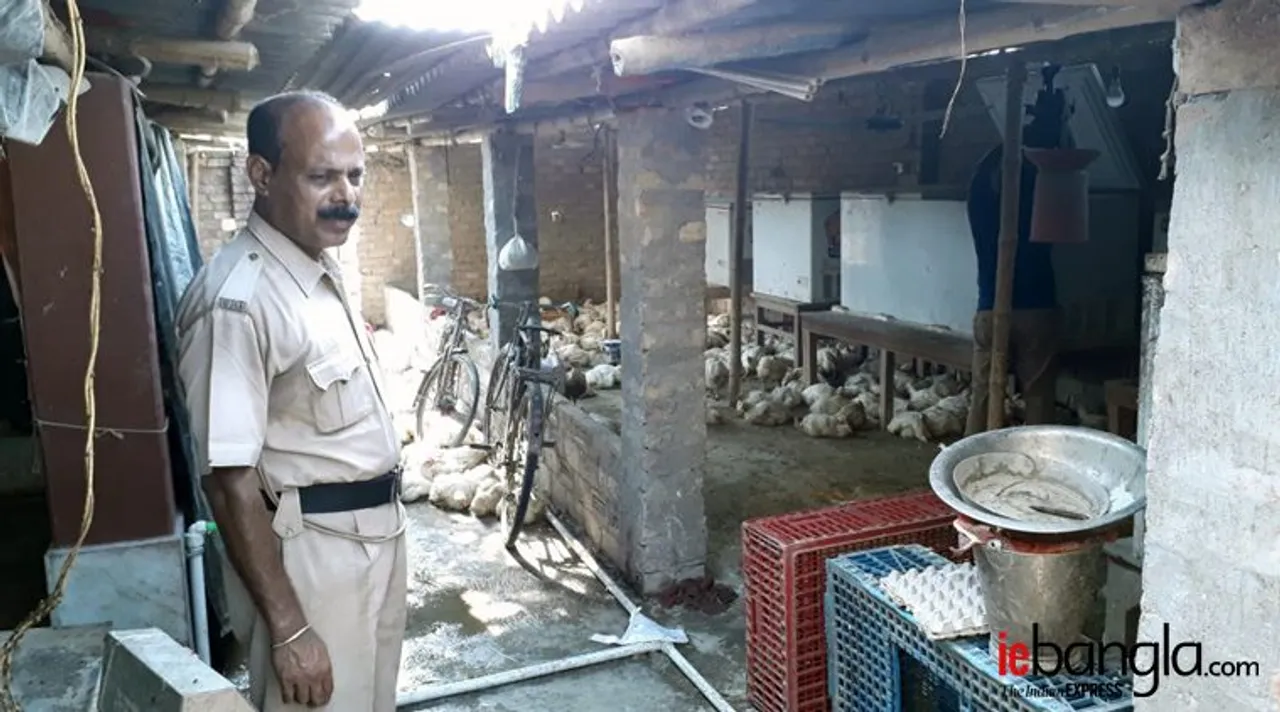 rotten meat, kolkata