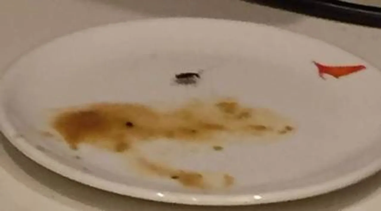 cockroach
