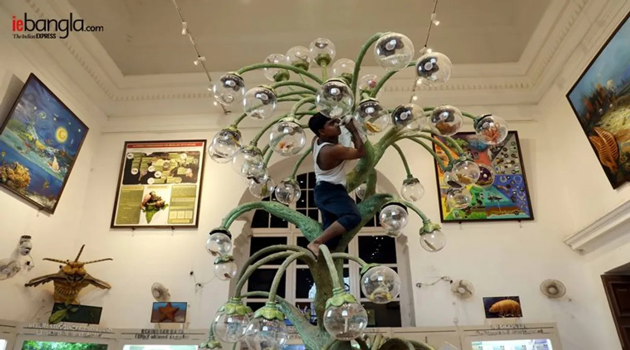 indian museum