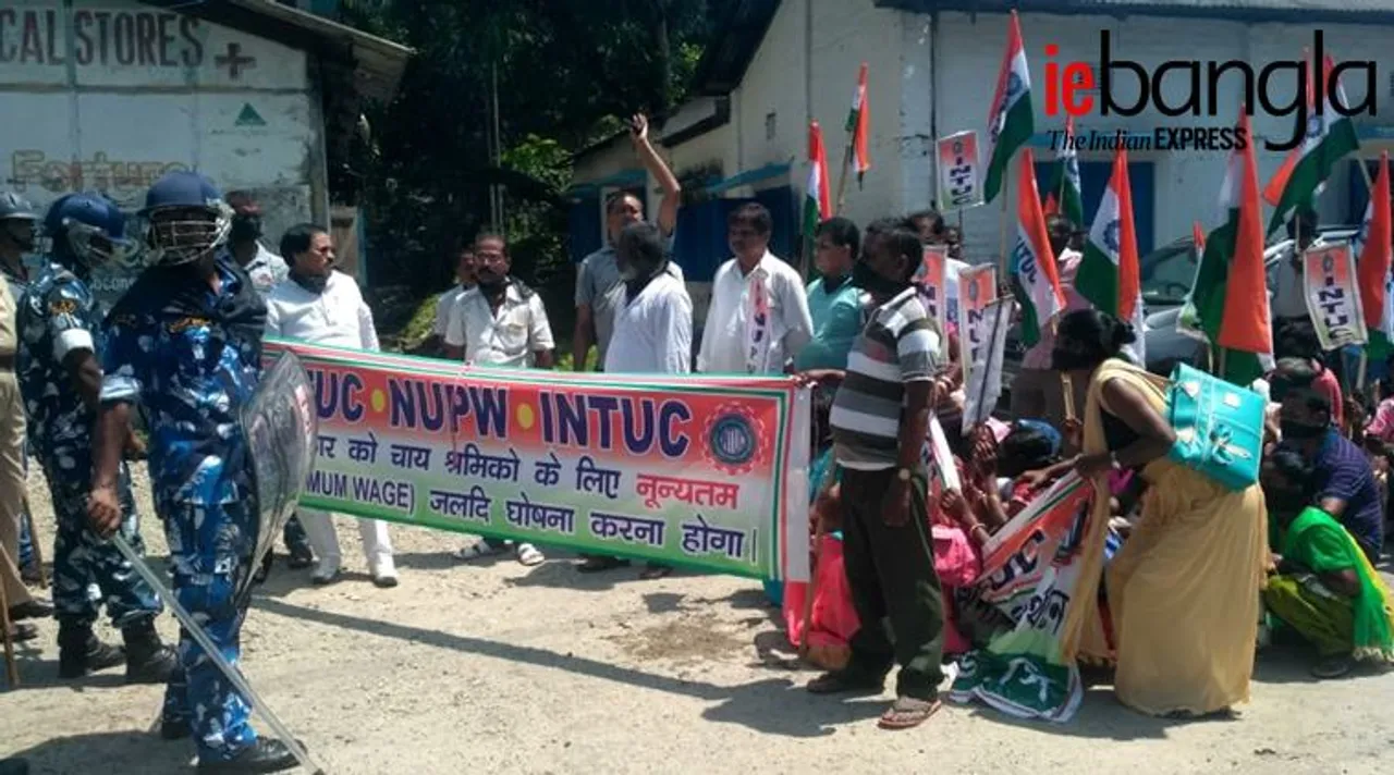 Tea Garden Workers Strike: ন্যূনতম মজুরি বৃদ্ধির দাবিতে চা বাগান ধর্মঘট, সাড়া নিয়ে চাপান উতোর দু পক্ষের
