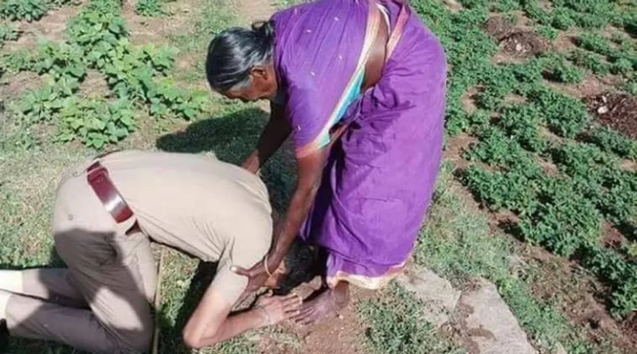 karnataka , কর্নাটক
