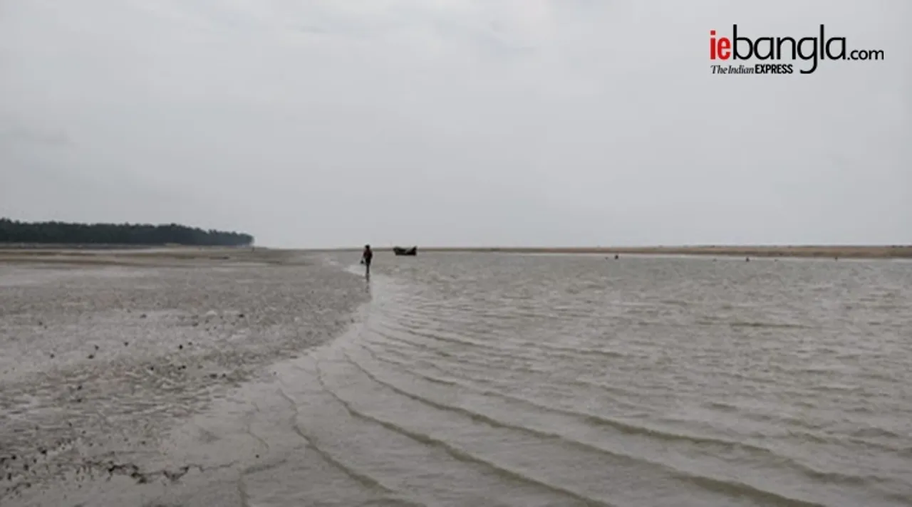 titli, তিতলি