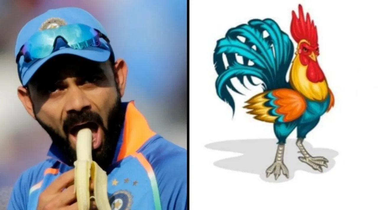 Krishi Vigyan Kendra writes to BCCI, Virat Kohli recommending ‘Kadaknath’ chicken over grilled chicken