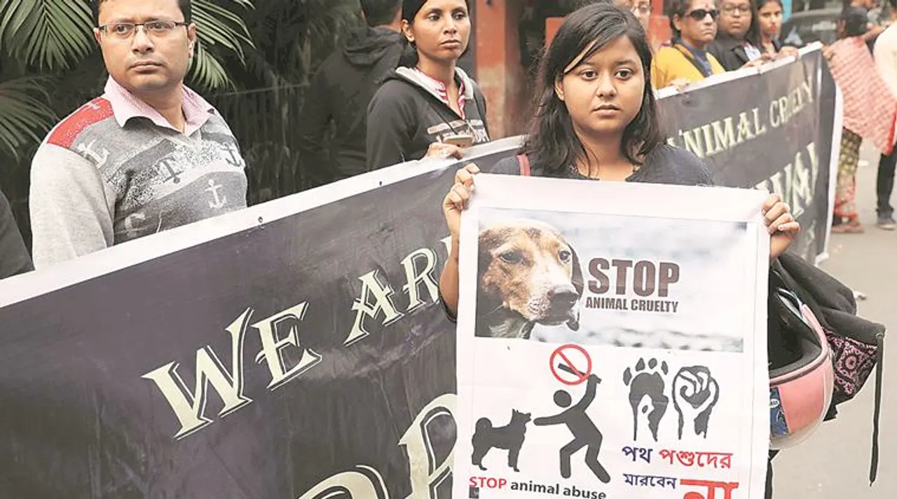 dog, কুকুর