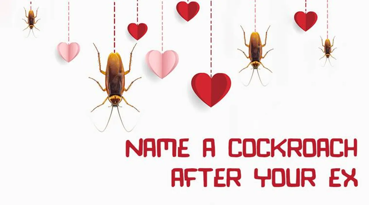 cockroach