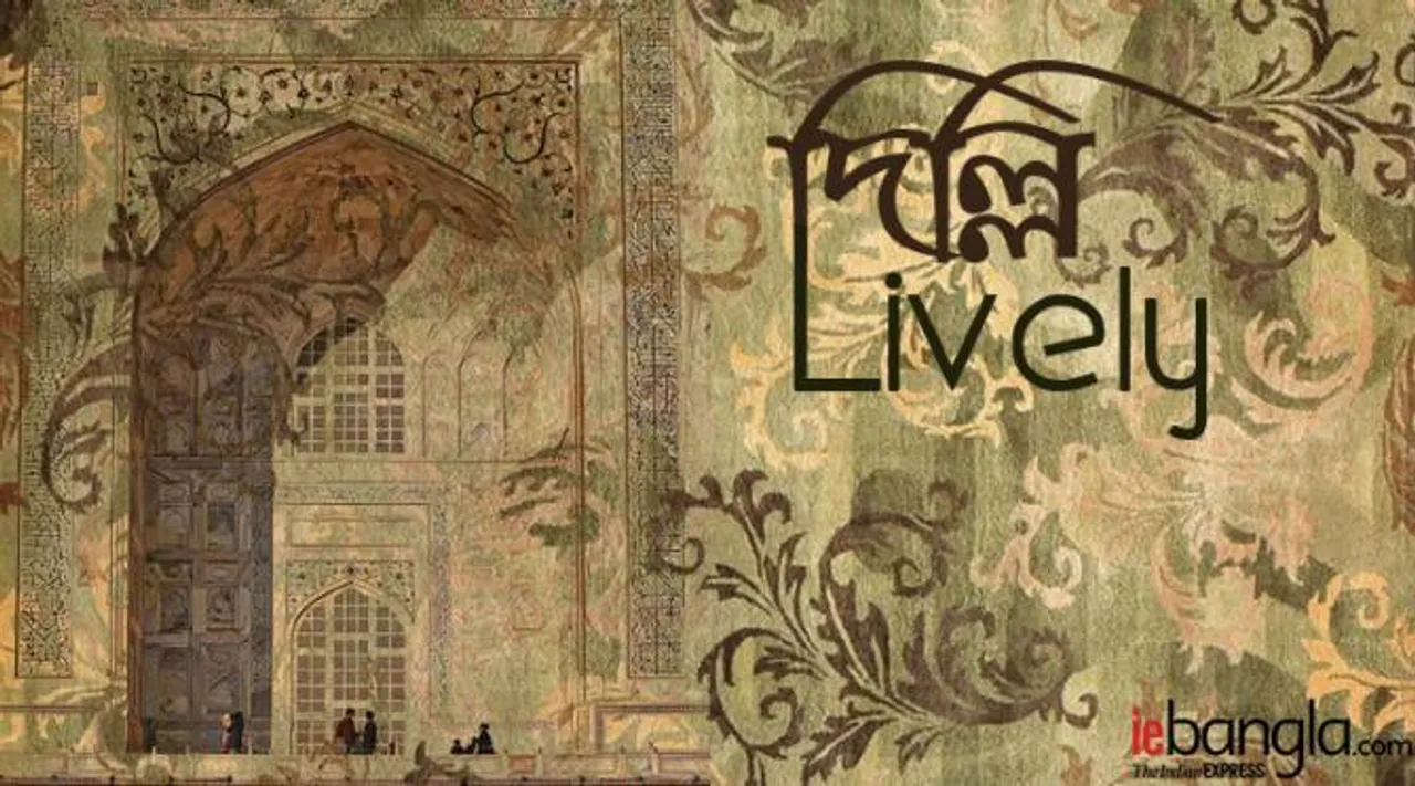 delhi lively blog