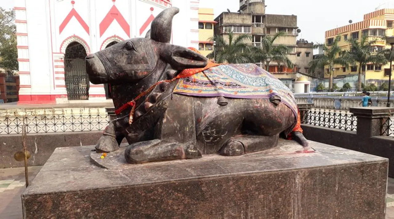Bhu Kailash Temple Nandi the Bull
