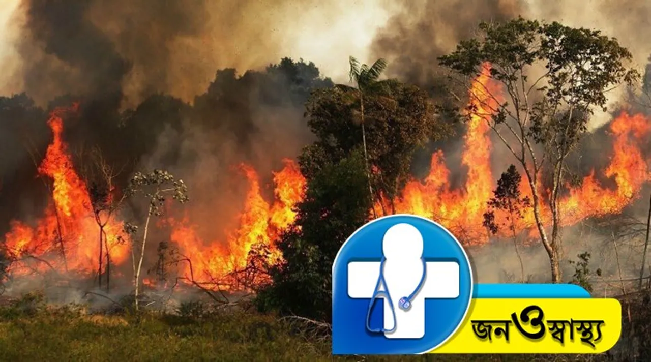 Amazon Fire, Public Health