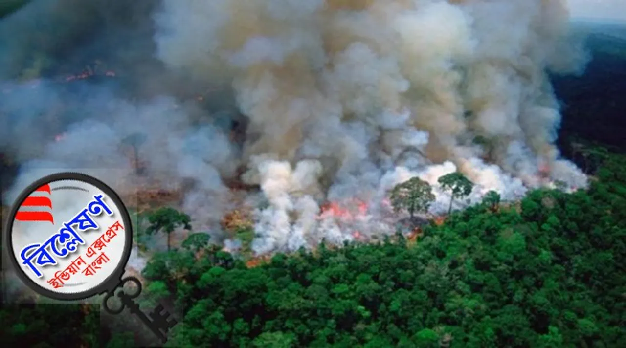 Amazon rainforest, Explained