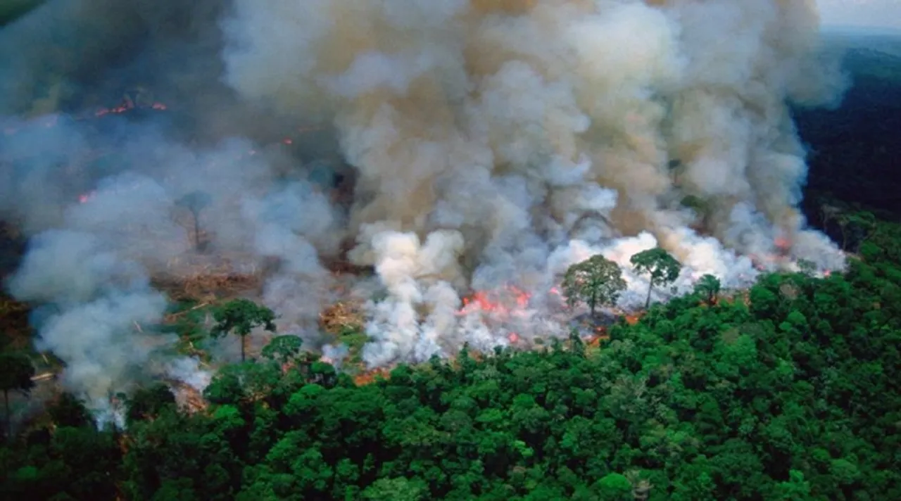 amazon fire