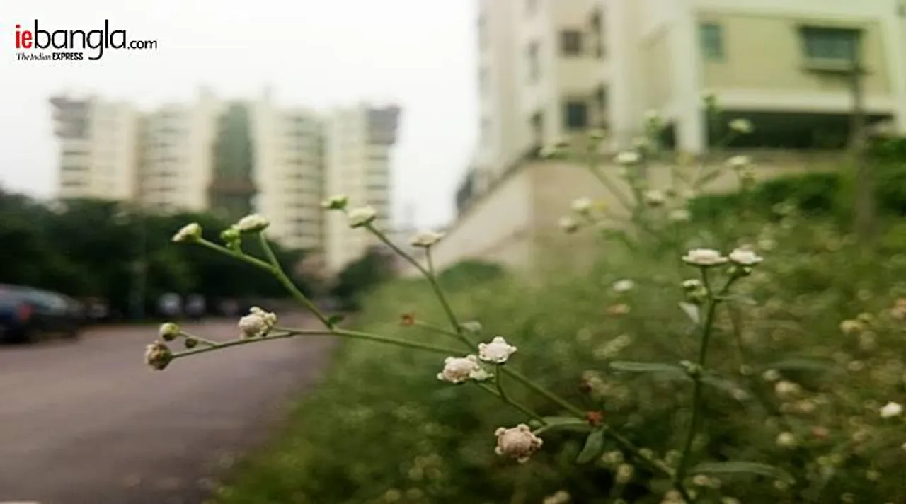 durgapur news, durgapur city center