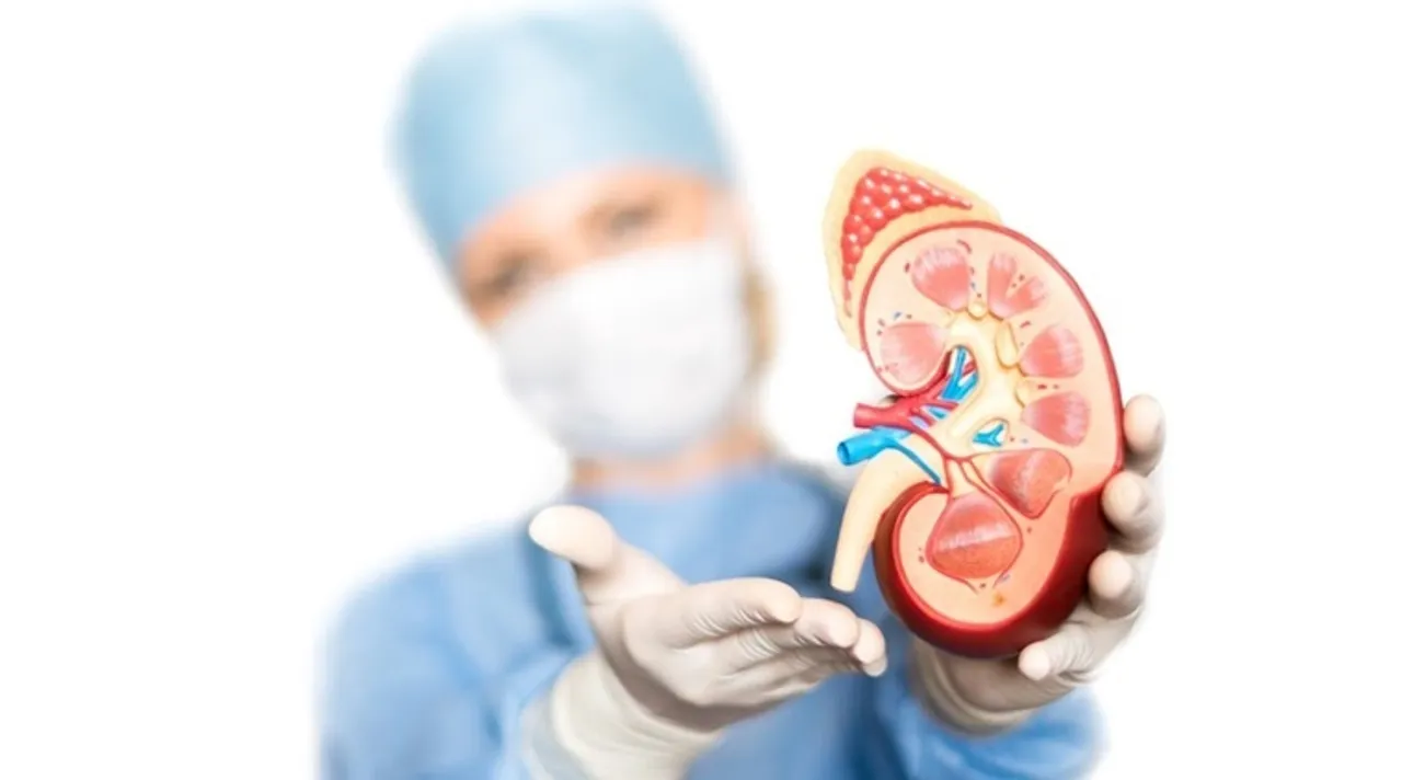kidney infection