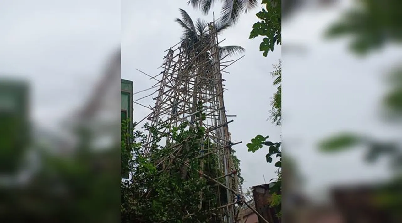 tree, গাছ