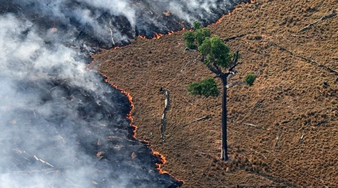 amazon rainforest fire