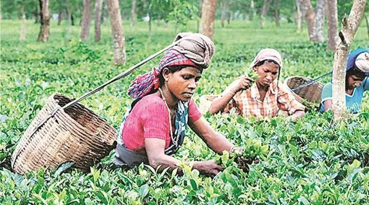Pujo Bonus, Bonus for Women