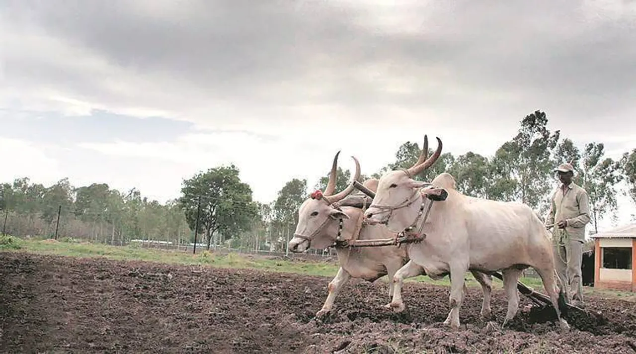 natural farming