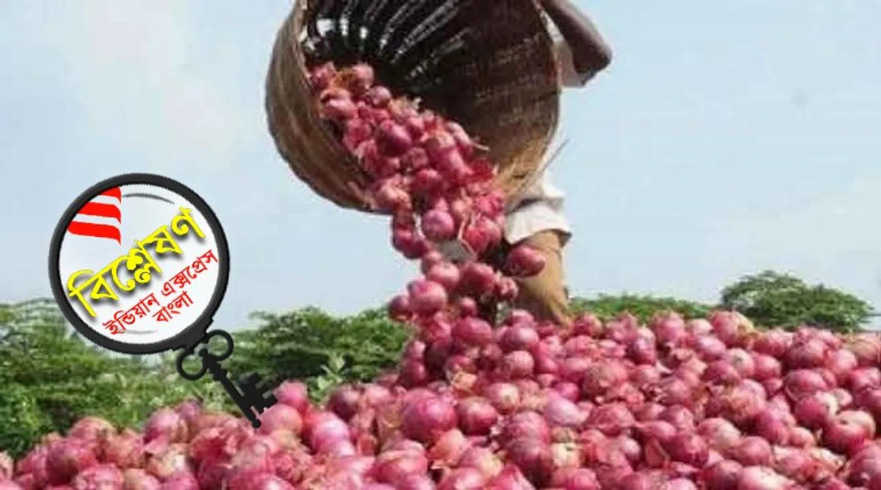 Onion Price, Onion Export Ban