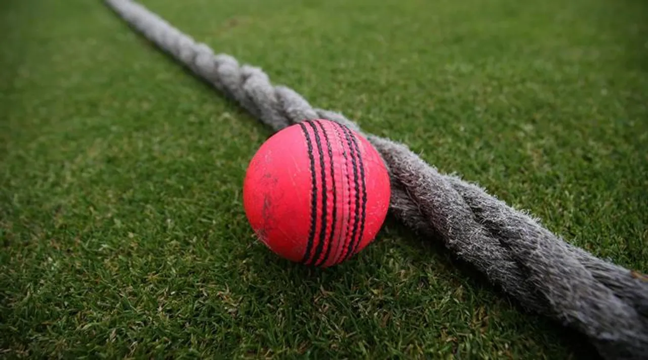 Pink Cricket ball