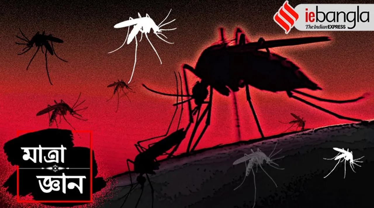 dengue kolkata