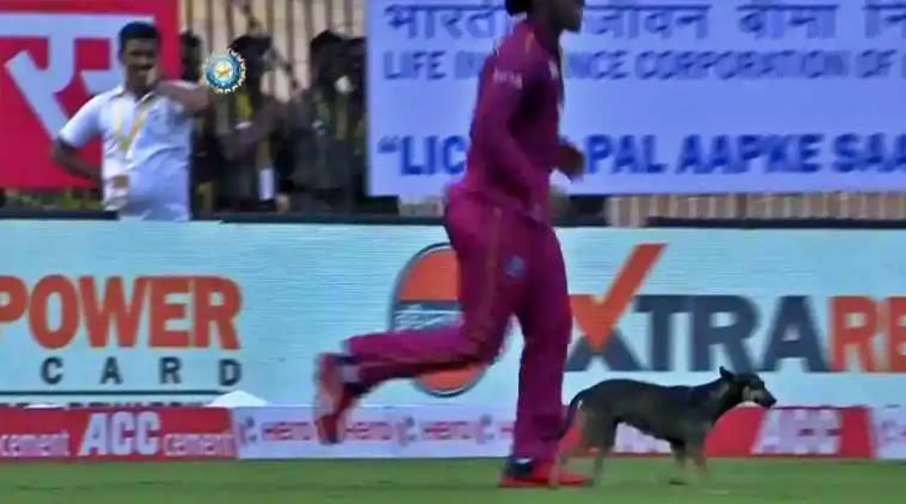 Dog intervenes play during first ODI between India and West Indies