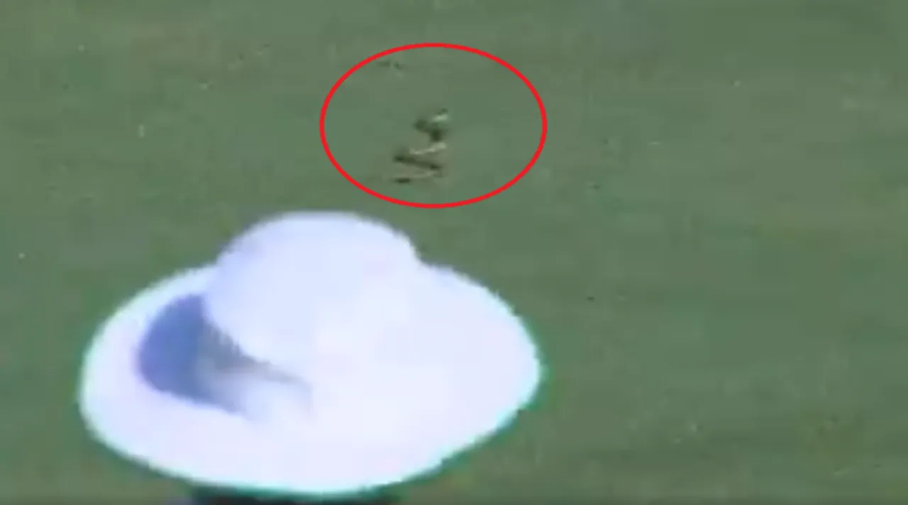 Snake comes on field in Ranji match between Andhra and Vidharbha