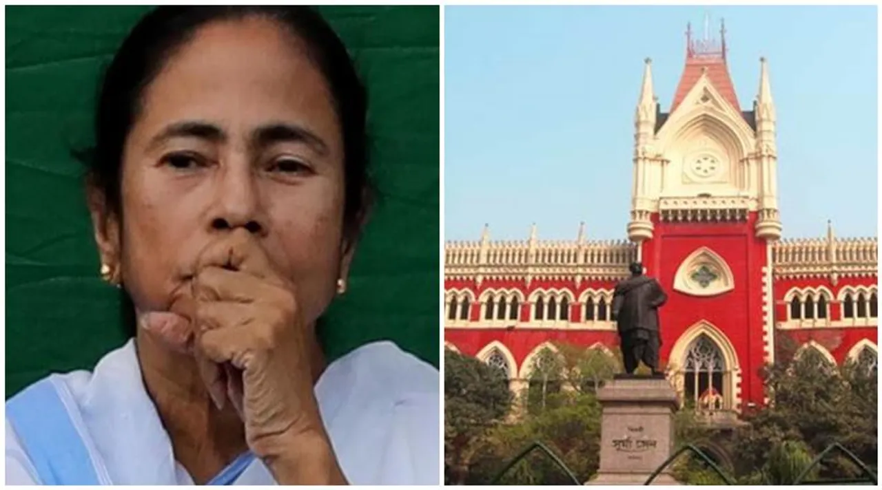 calcutta highcourt, কলকাতা হাইকোর্ট, হাইকোর্ট, kolkata highcourt, রাজ্যকে রিপোর্ট পেশের নির্দেশ, highcourt, west bengal govt, caa, সিএএ