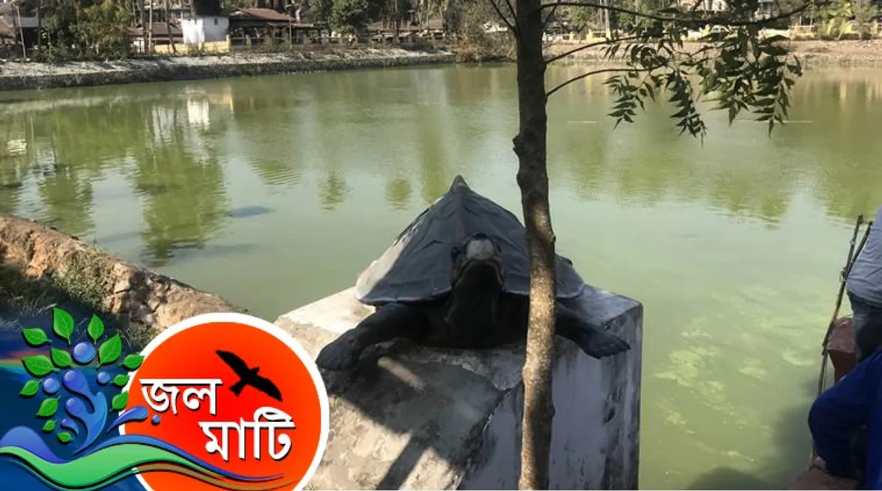 Water Resource, Pond