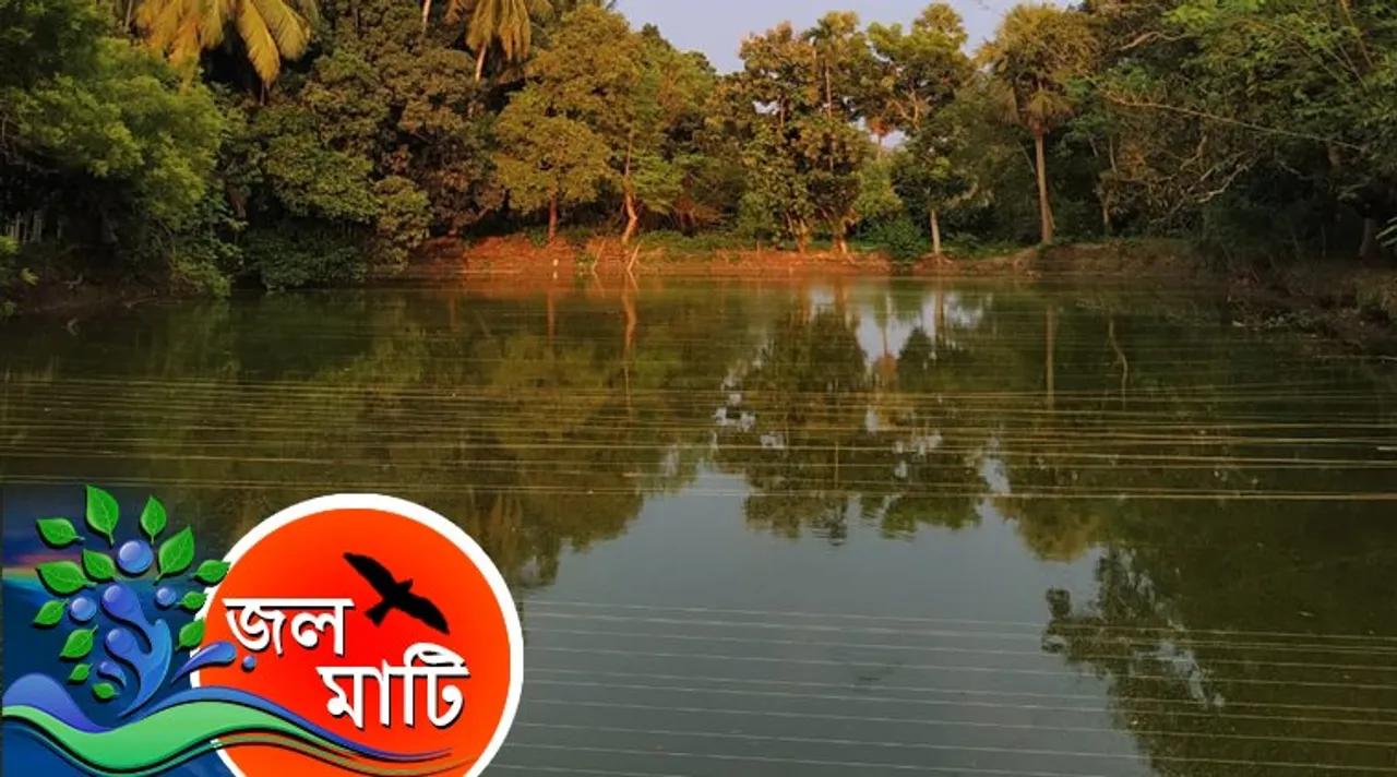 Waterbody, Environment