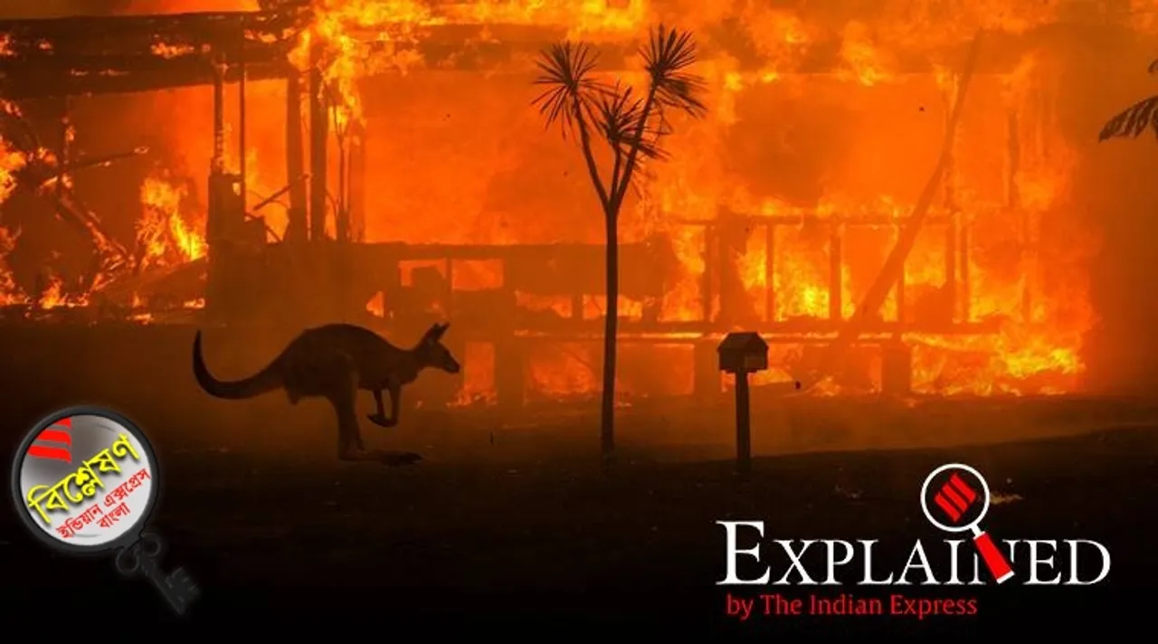australia bushfires