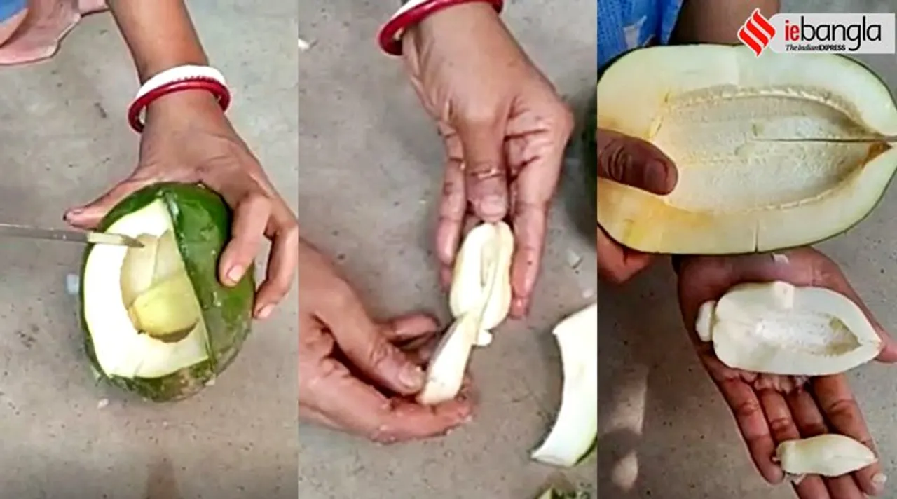 rare incident inside papaya another papaya found