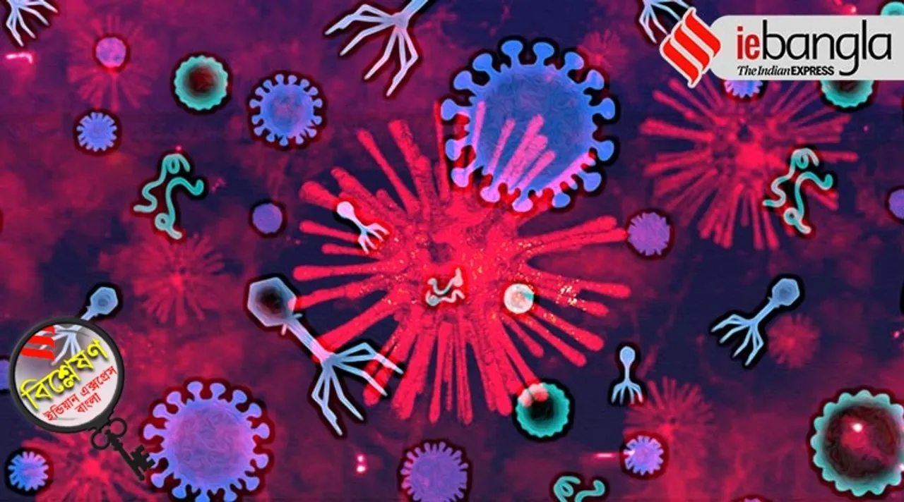 coronavirus in india