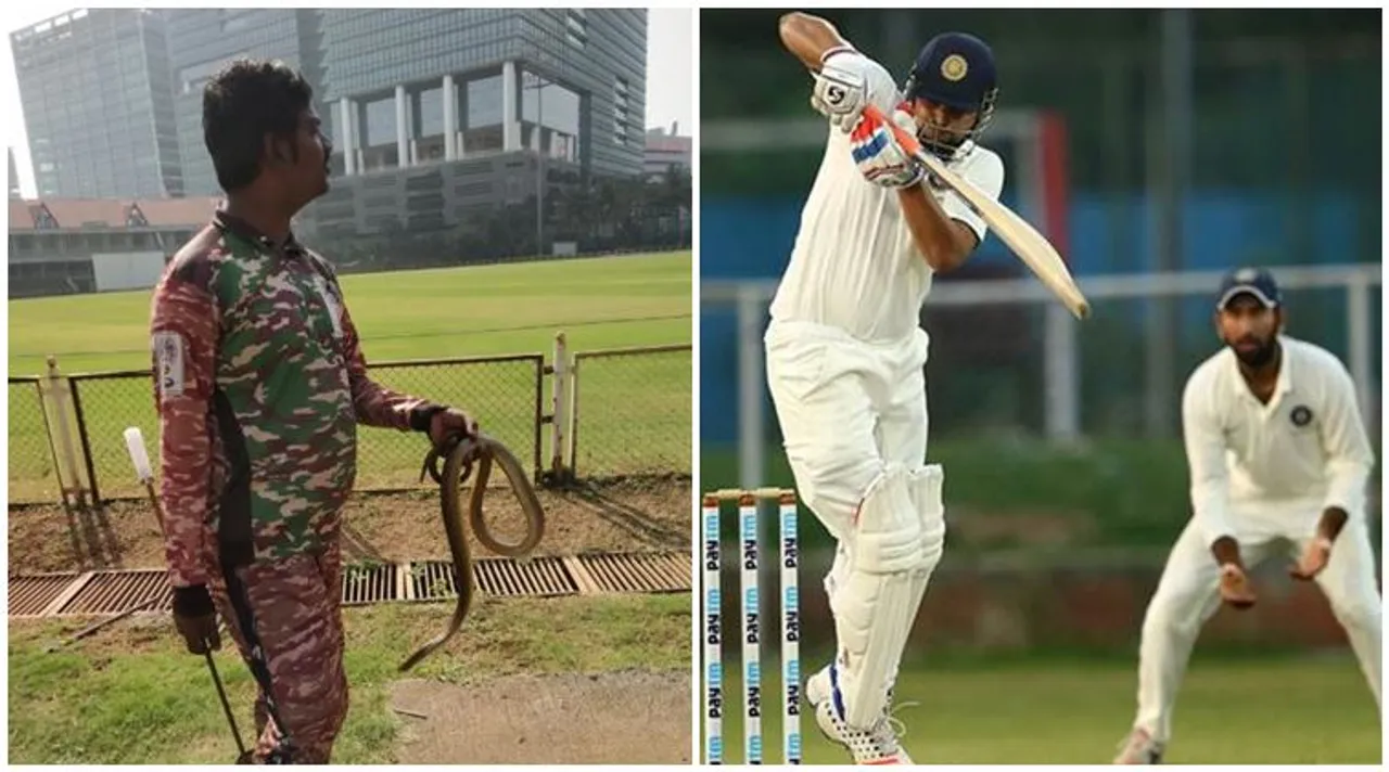 snake in ranji trophy