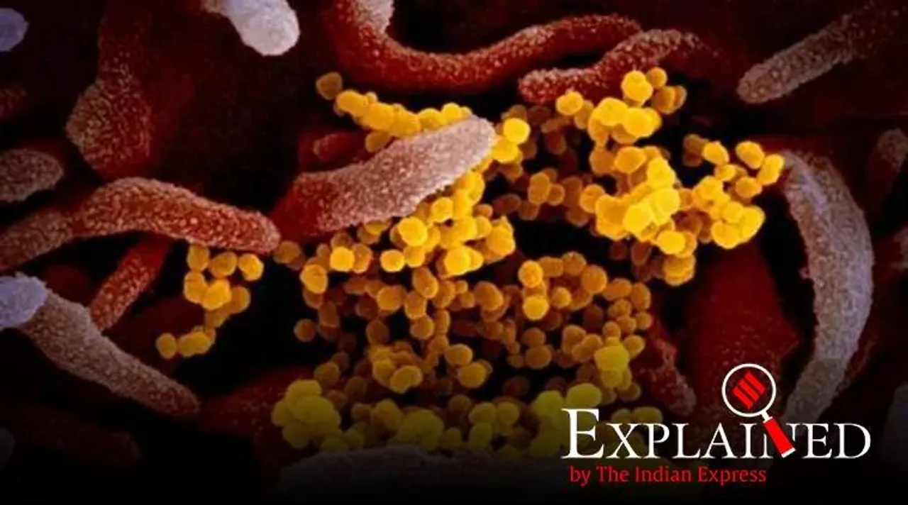 Coronavirus, Hydroxychloroquine